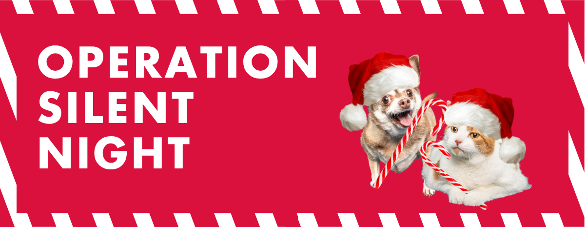Operation Silent Night 2026